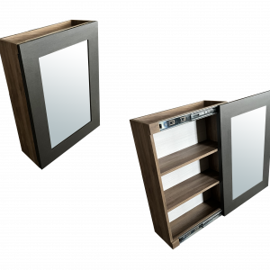 Gabinete ABANON